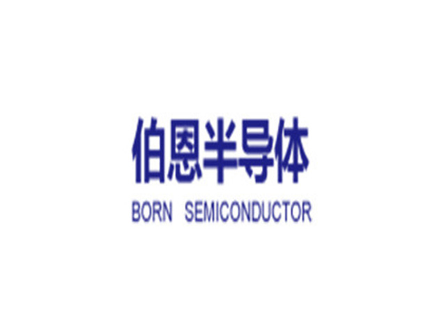 BORN_伯恩半導體